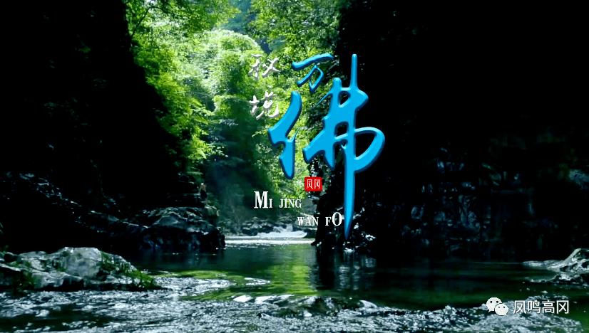 弗洛西诺内主帅：苏莱没有只考虑金钱，沙特联赛的水平并不高