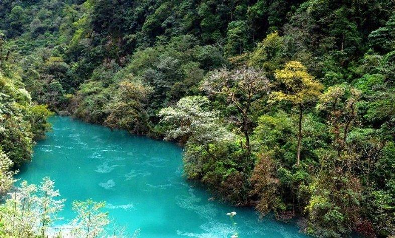 上班族救援