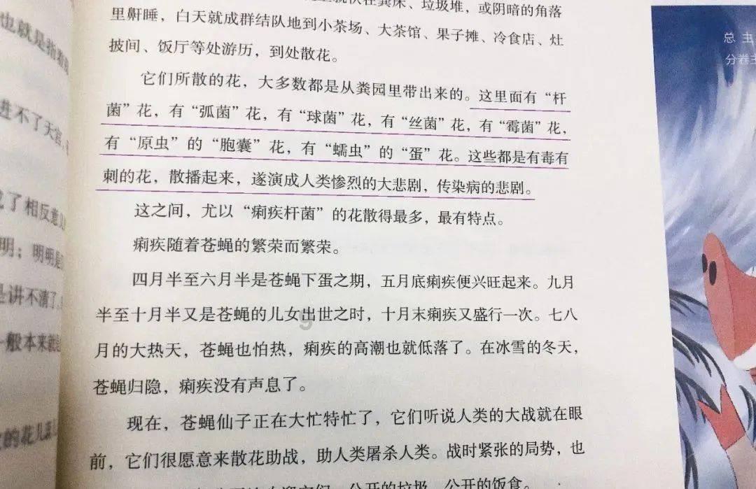 蓝狐视频