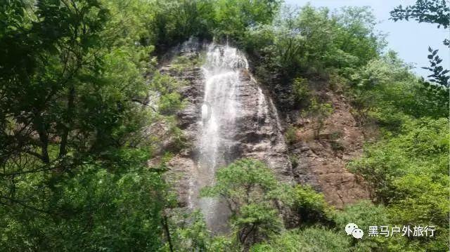 除虫大师