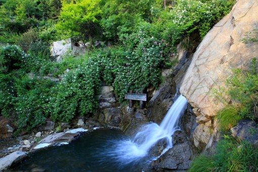 张坤四季度规模缩水109亿,减持贵州茅台、腾讯控股,超威半导体新进重仓行列