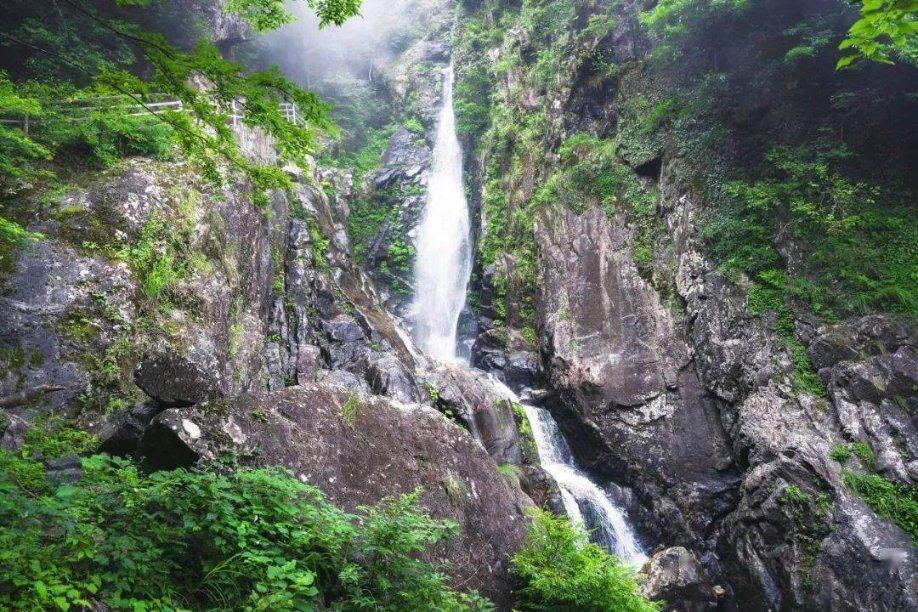 林如海在贾敏死后有什么深意，才安排贾雨村做黛玉的老师？游戏画面