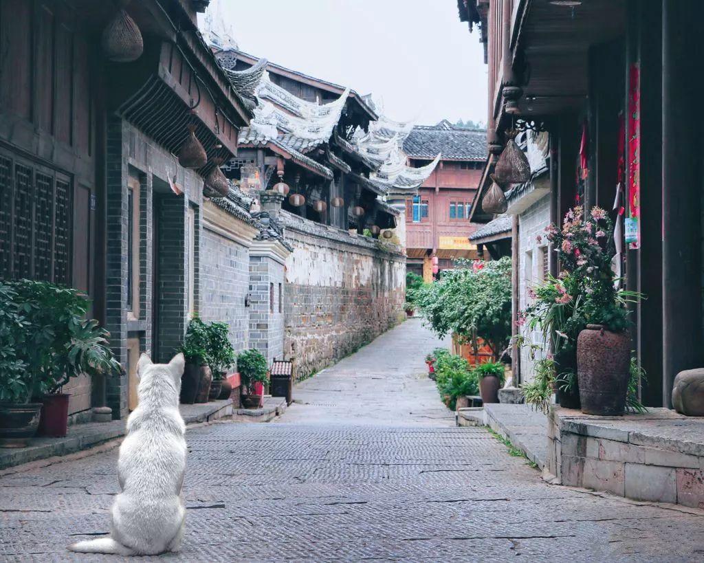 生化危机：启示录