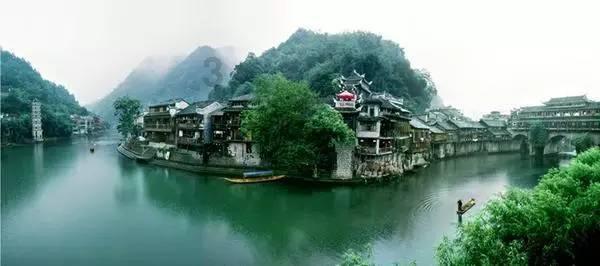 动物帮帮忙保卫家园